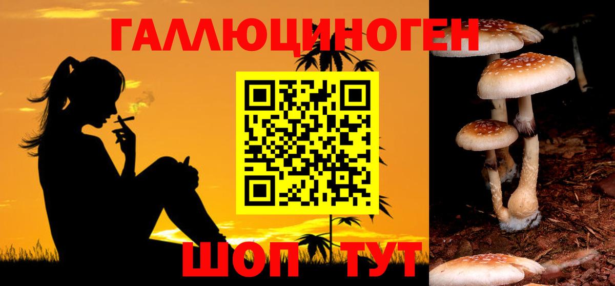 Северск  где найти   Вход с VPN  Галлюциногенные грибы Cubensis 